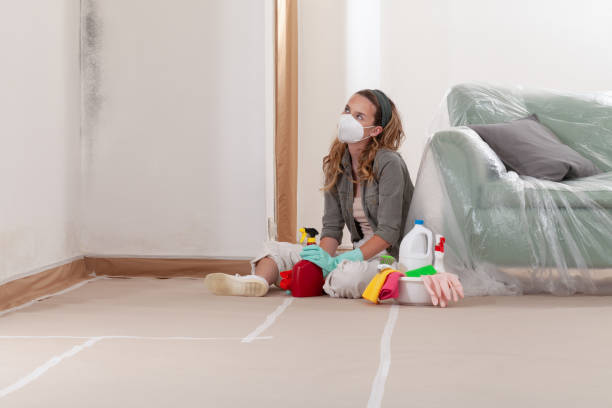 Reliable Black Mold Remediation contractor in Sunnyvale, TX by Car Mold Remediation